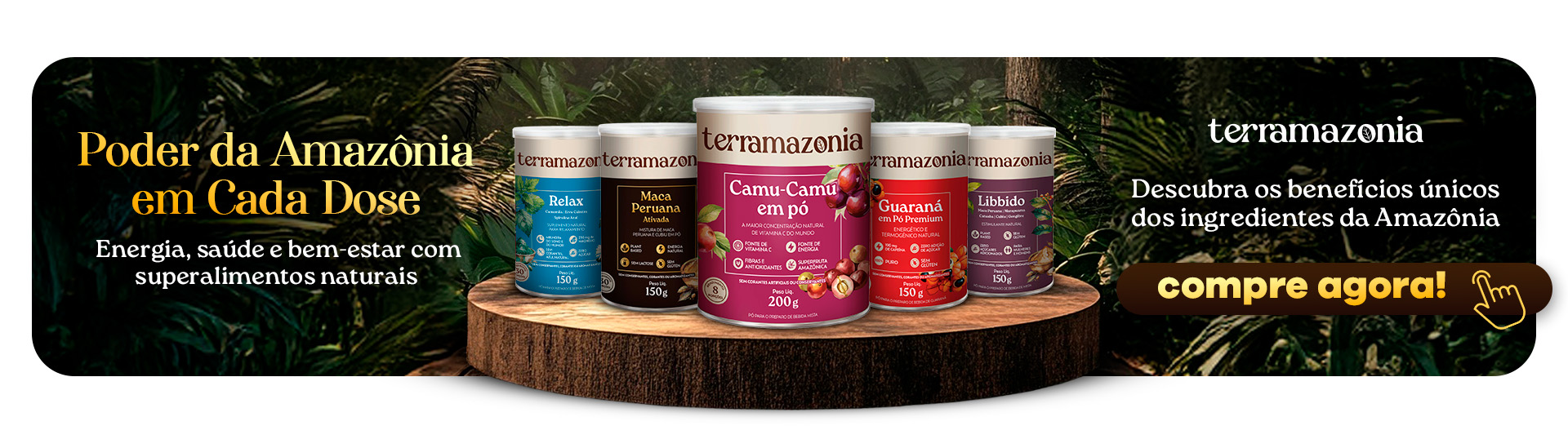 TERRA AMAZONIA DESKTOP
